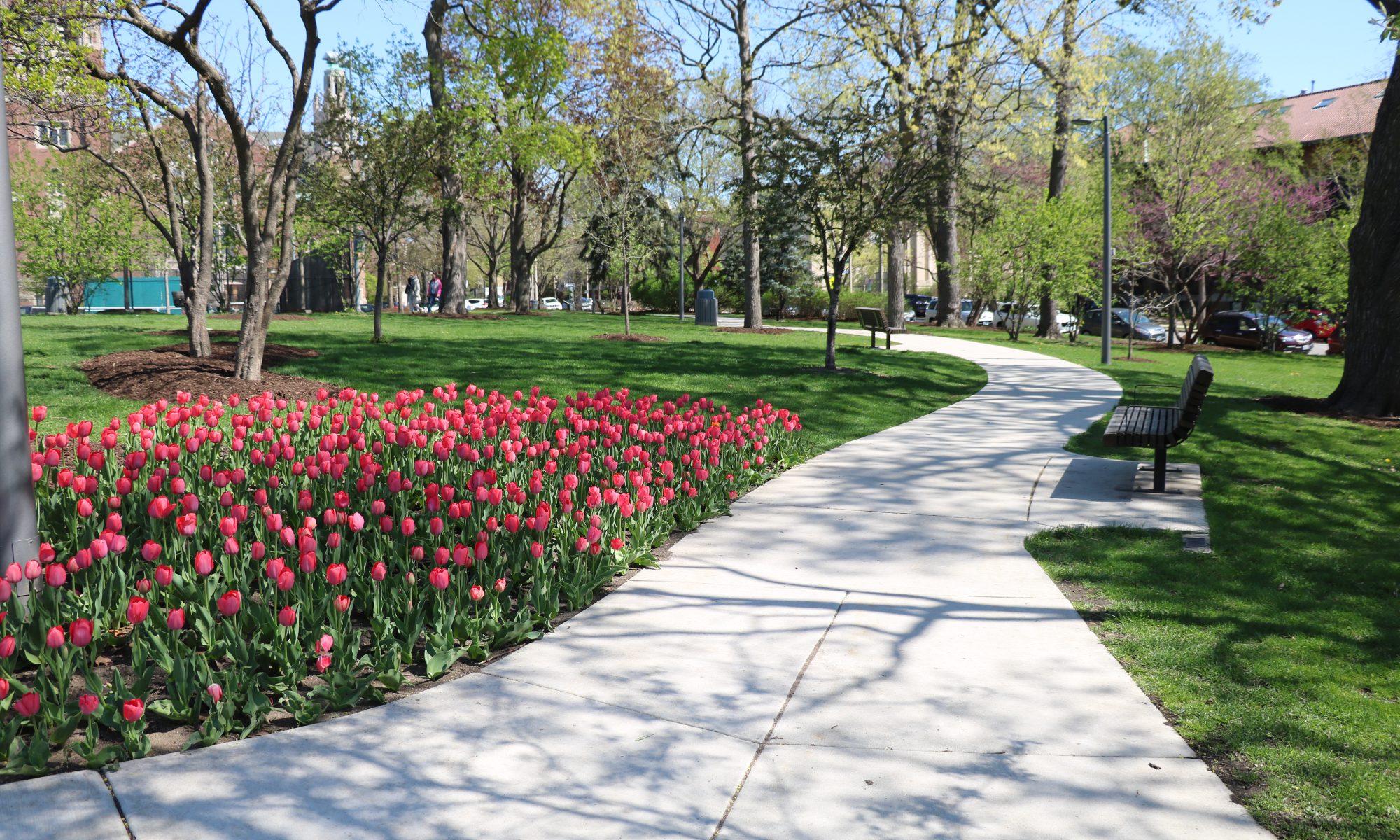 scoville park walkway