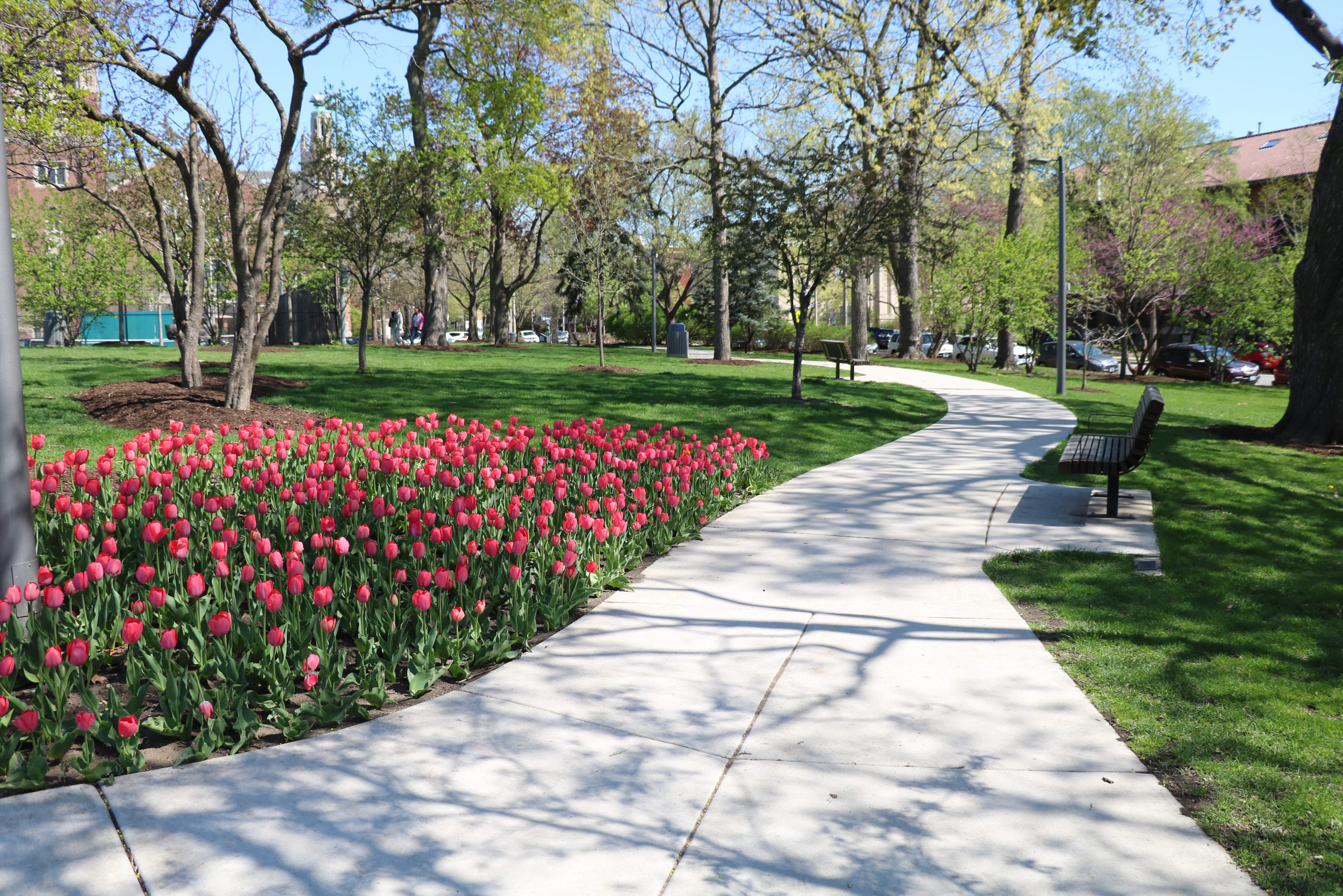 scoville park walkway
