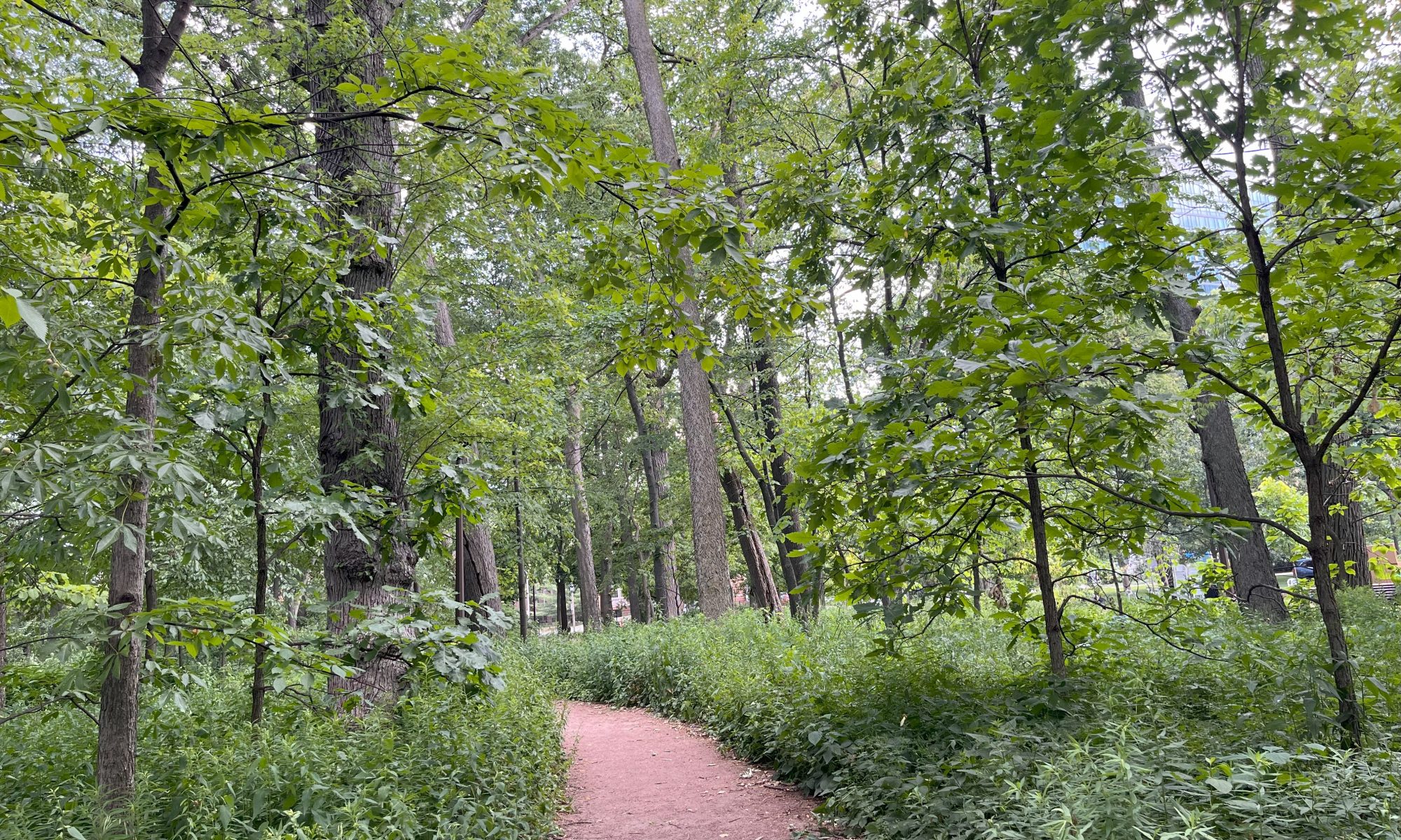 austin gardens natural area