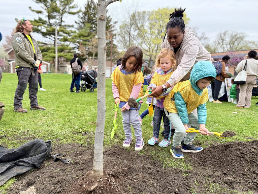 preschool students help plant a tree
