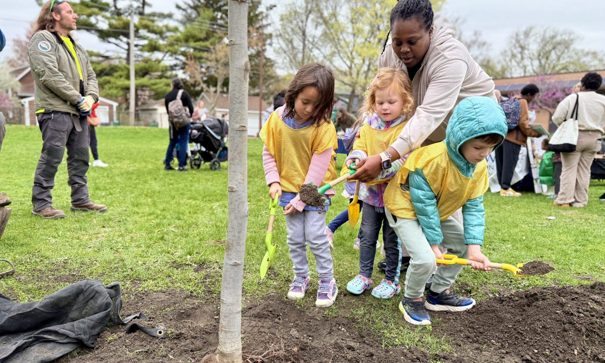 preschool students help plant a tree