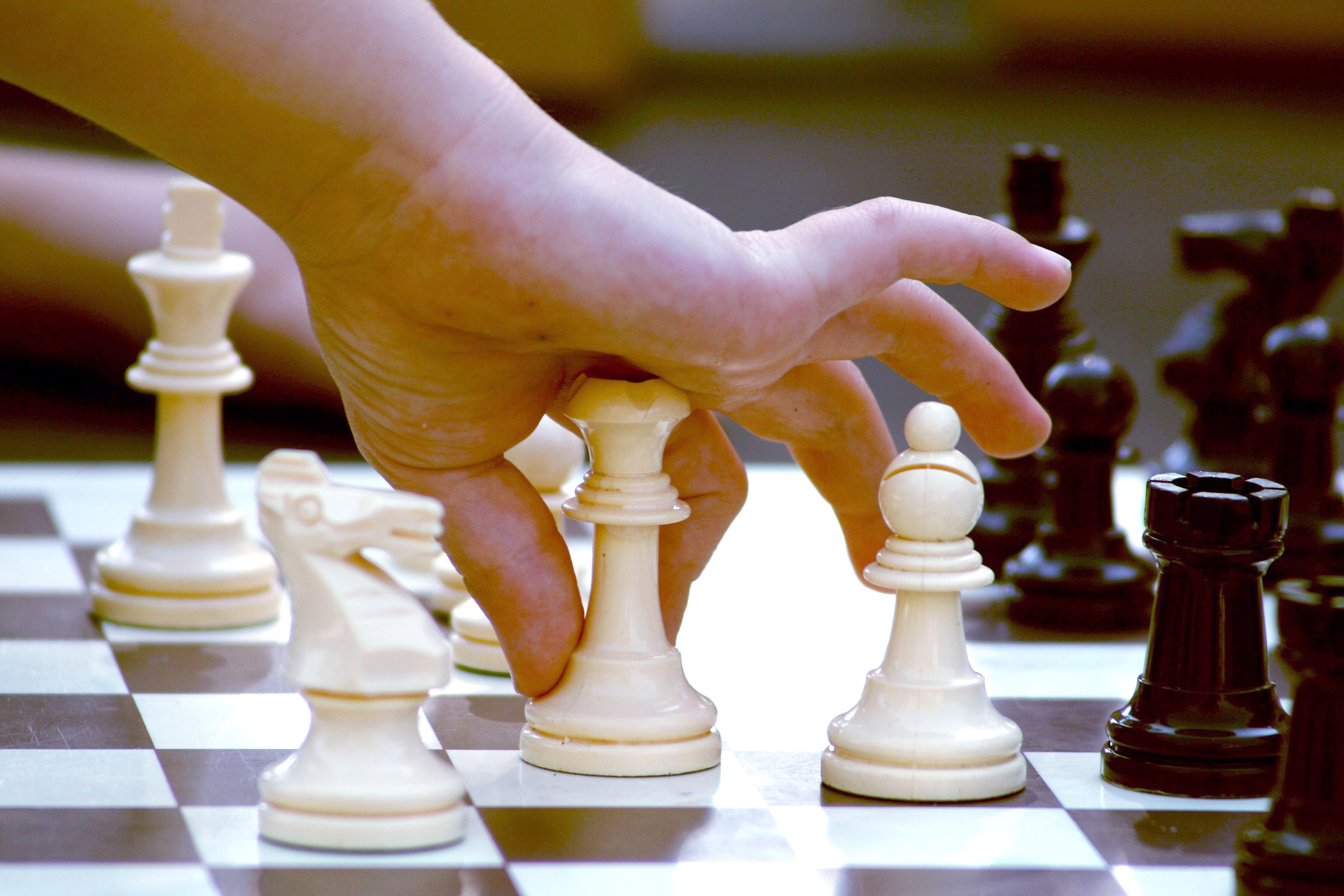 kid plays chess
