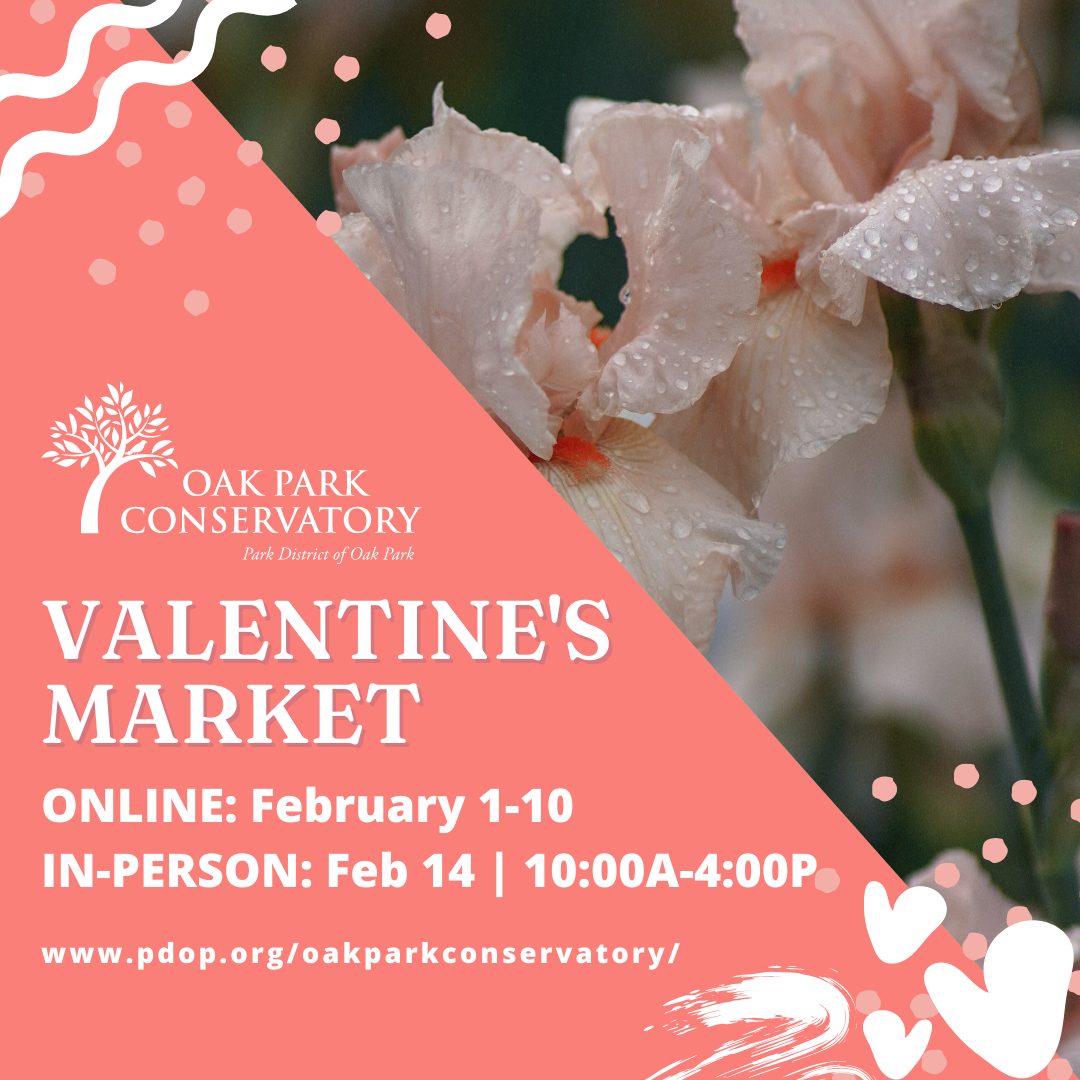 🌹 Valentine’s Market Opens Online