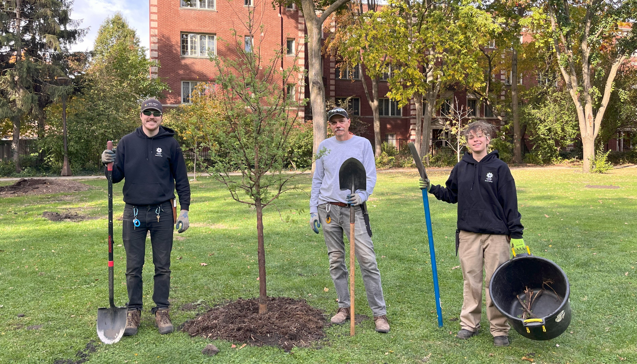 Urban Forestry at the Park District of Oak Park