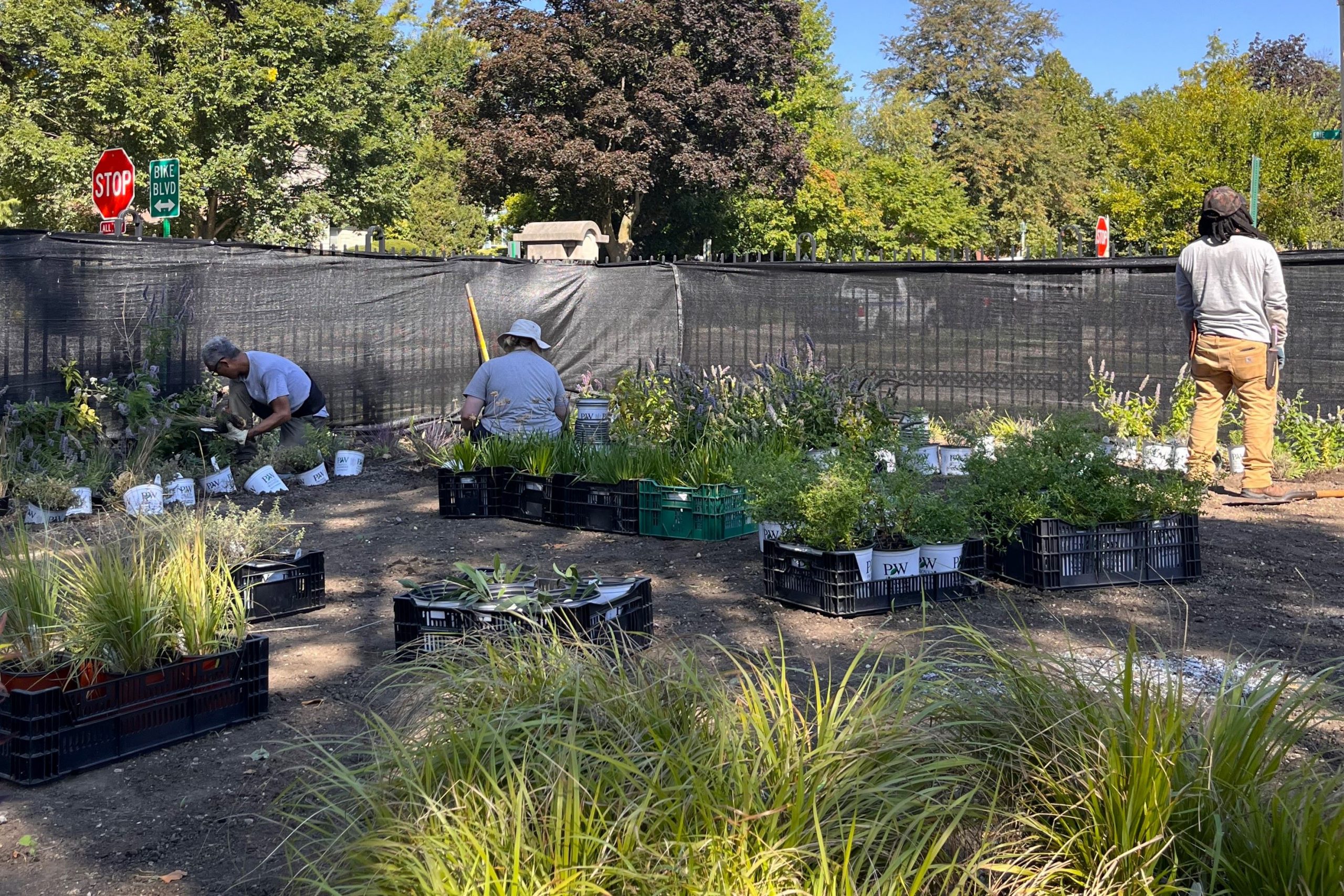 three conservatory team members crouch among potted pollinators along the perimeter of cheney mansion's property
