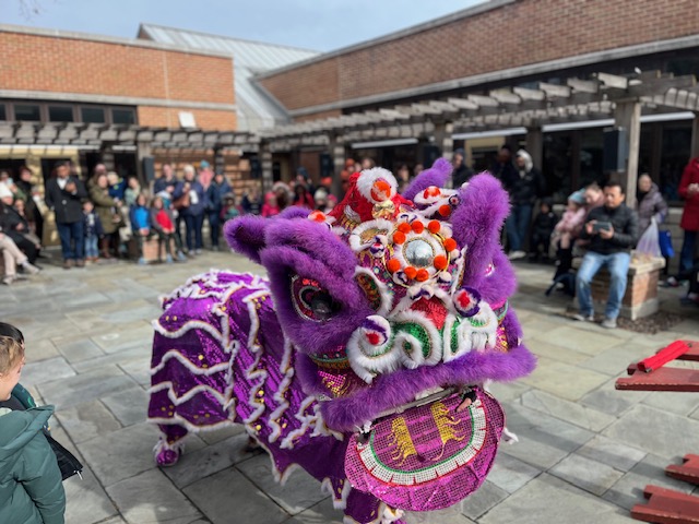 lunar new year purple dragon dancing on the rubinstein patio at the conservatory