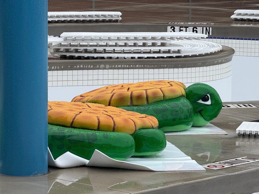 two large turtle-shaped lily pad toys sit on the side of the pool