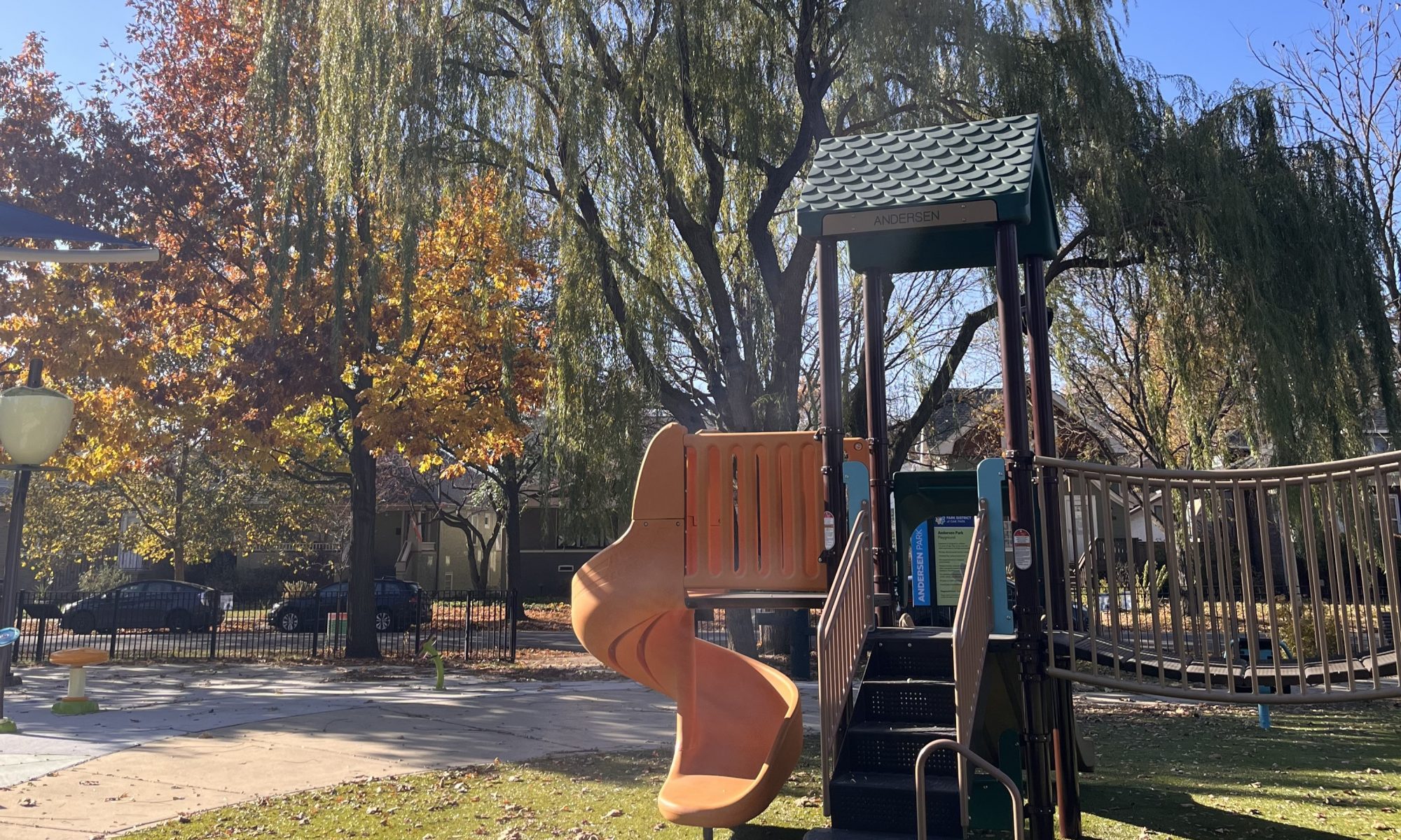yellow slide and a willow tree