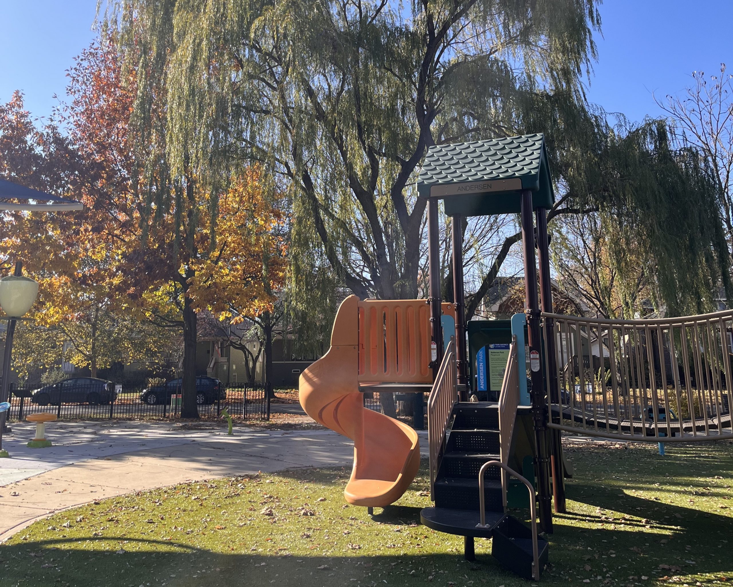 yellow slide and a willow tree