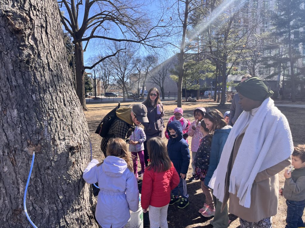 kids gather around a tree with a blue tap extracting the sap