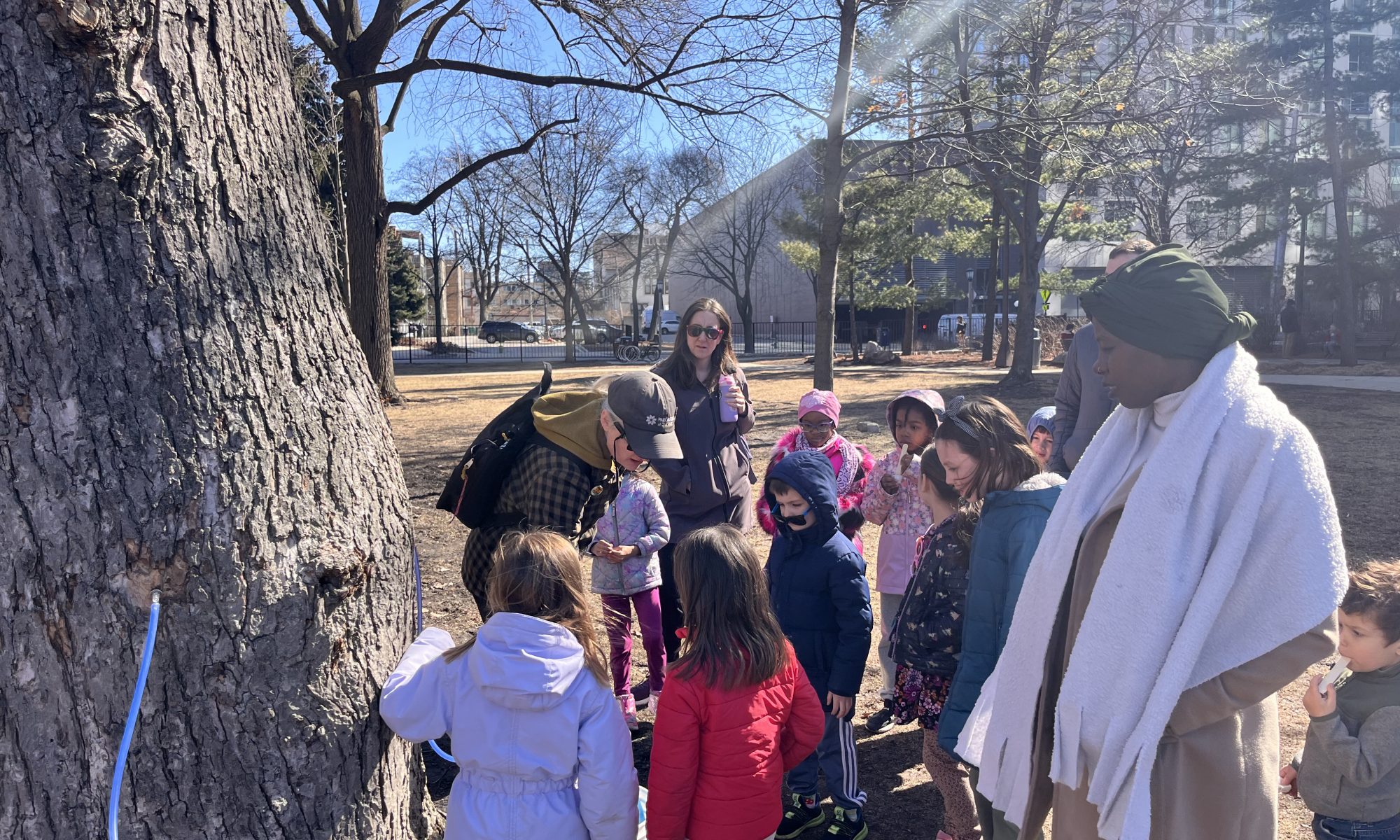 kids gather around a tree with a blue tap extracting the sap