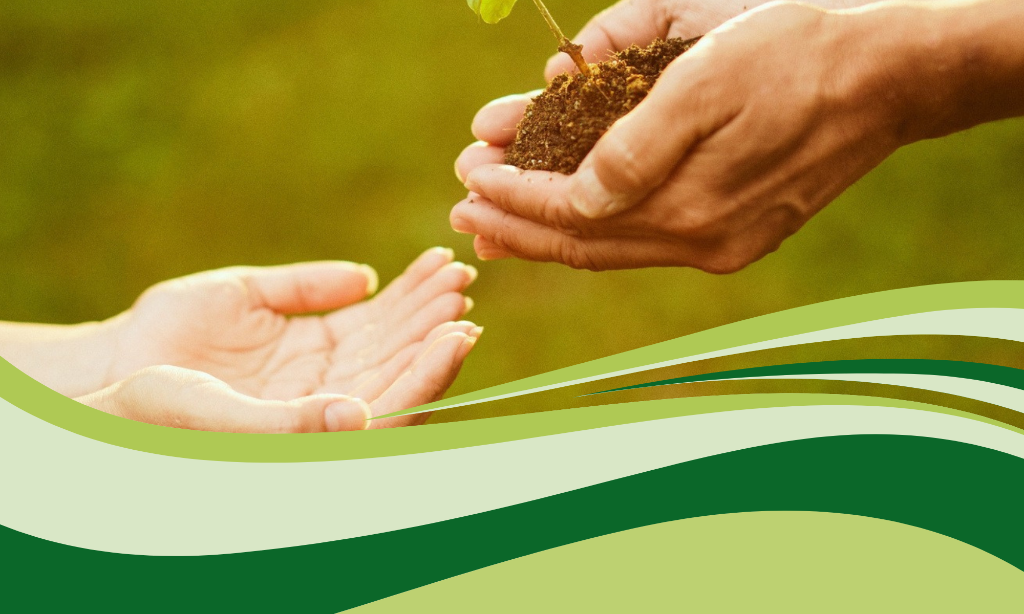 two people holding out their hands with dirt and a sprout in them