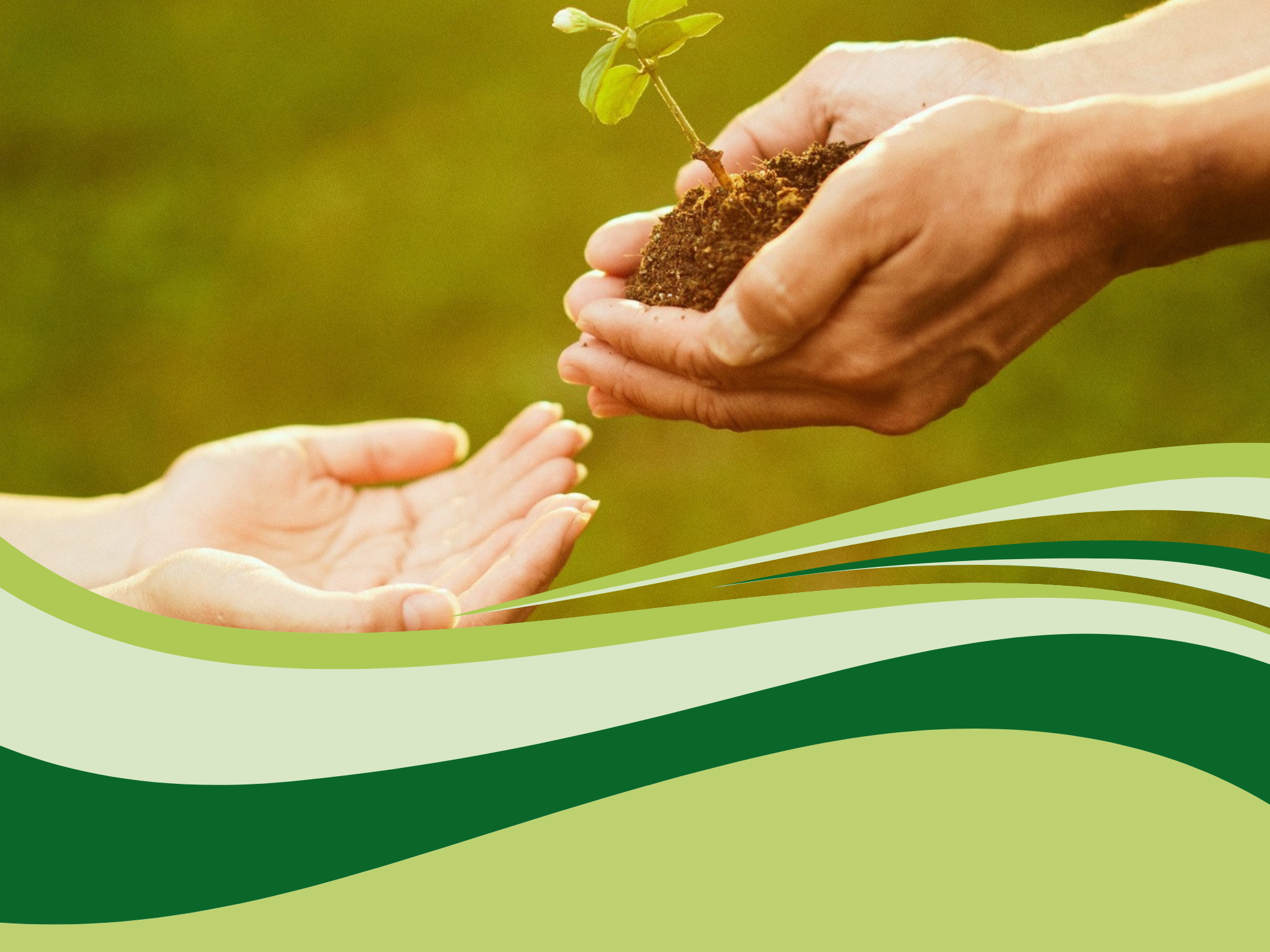 two people holding out their hands with dirt and a sprout in them
